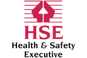 Logo HSE